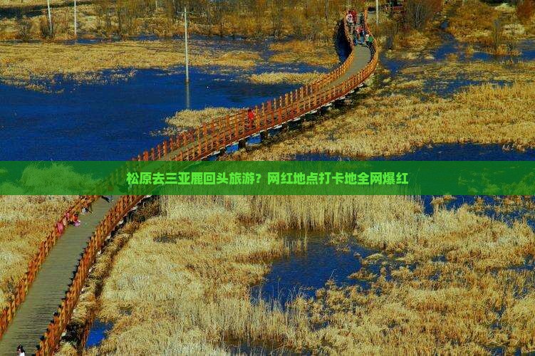 松原去三亚鹿回头旅游？网红地点打卡地全网爆红