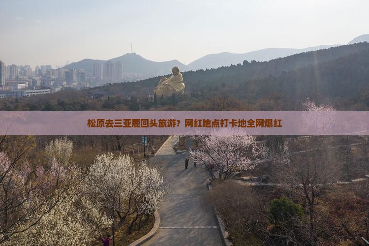 松原去三亚鹿回头旅游？网红地点打卡地全网爆红