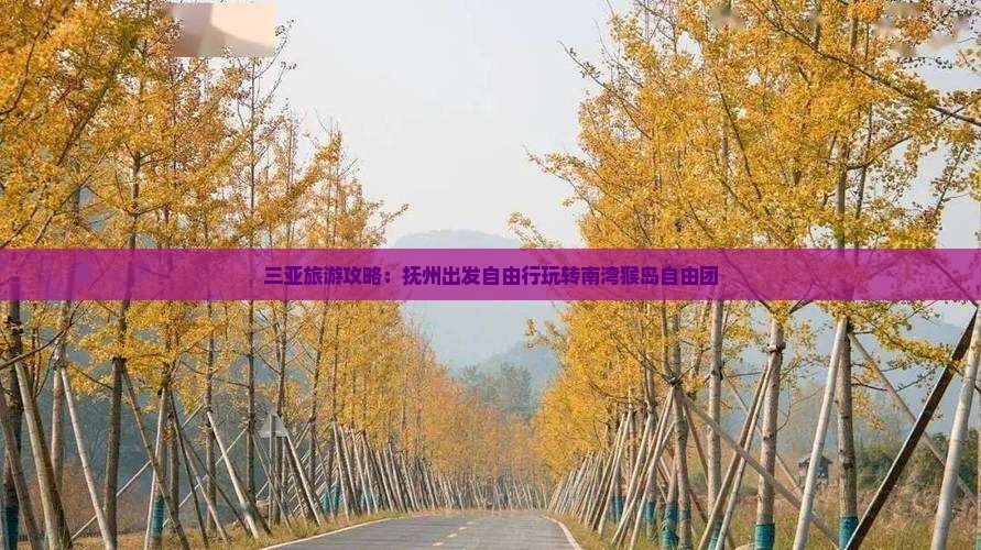 三亚旅游攻略：抚州出发自由行玩转南湾猴岛自由团