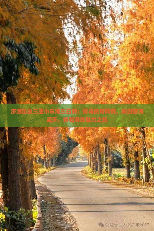 济源出发三亚小东海三日游：探寻热带风情，畅游碧海蓝天，体验海岛魅力之旅