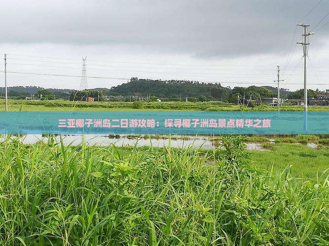 三亚椰子洲岛二日游攻略：探寻椰子洲岛景点精华之旅