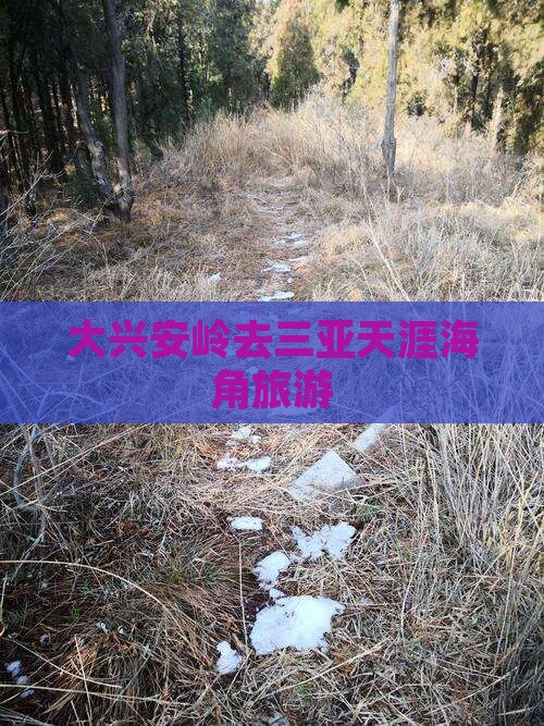大兴安岭去三亚天涯海角旅游