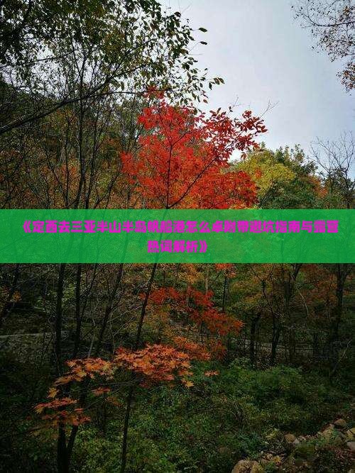 《定西去三亚半山半岛帆船港怎么卓附带避坑指南与露营热词解析》