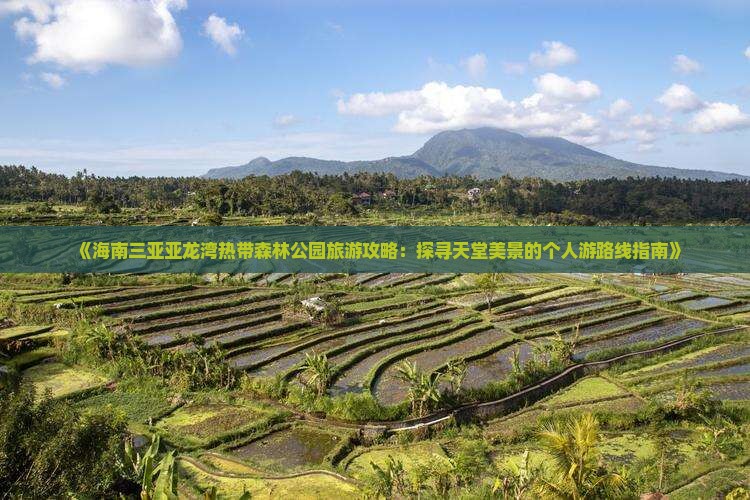 《海南三亚亚龙湾热带森林公园旅游攻略：探寻天堂美景的个人游路线指南》