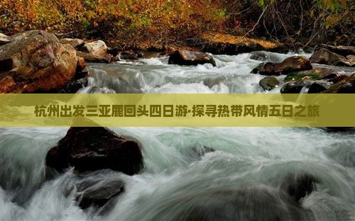 杭州出发三亚鹿回头四日游·探寻热带风情五日之旅
