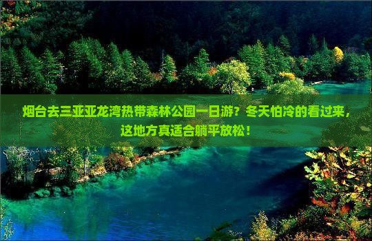 烟台去三亚亚龙湾热带森林公园一日游？冬天怕冷的看过来，这地方真适合躺平放松！