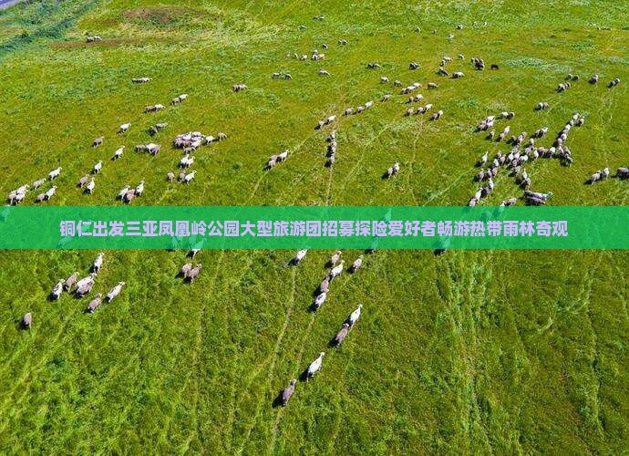 铜仁出发三亚凤凰岭公园大型旅游团招募探险爱好者畅游热带雨林奇观