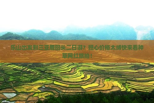乐山出发到三亚鹿回头二日游？担心价格太缚快来看种草网红旅拍！