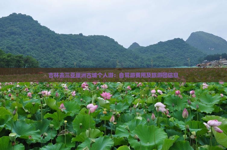 吉林去三亚崖洲古城个人游：自驾游费用及旅游团信息