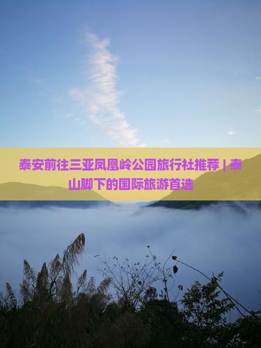 泰安前往三亚凤凰岭公园旅行社推荐 | 泰山脚下的国际旅游首选