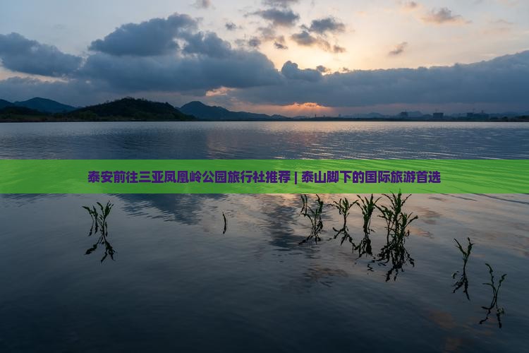 泰安前往三亚凤凰岭公园旅行社推荐 | 泰山脚下的国际旅游首选