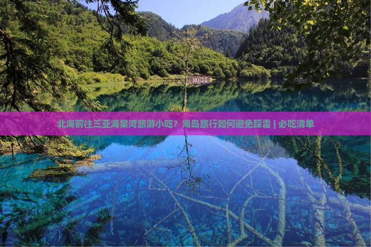 北海前往三亚海棠湾旅游小吃？海岛旅行如何避免踩雷 | 必吃清单