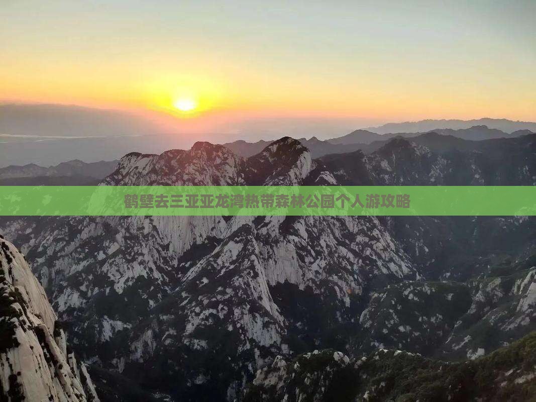 鹤壁去三亚亚龙湾热带森林公园个人游攻略