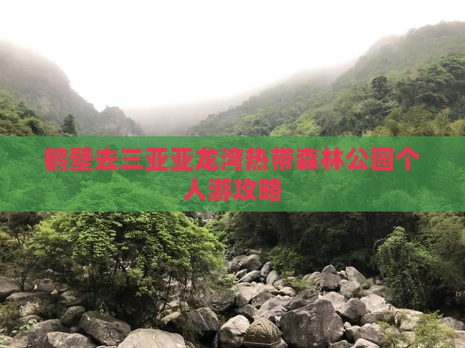 鹤壁去三亚亚龙湾热带森林公园个人游攻略