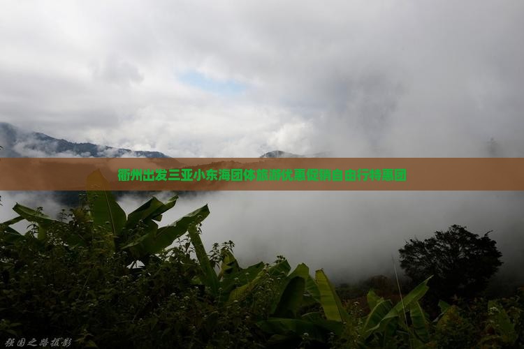 衢州出发三亚小东海团体旅游优惠促销自由行特惠团