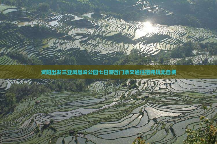 资阳出发三亚凤凰岭公园七日游含门票交通住宿纯玩无自费