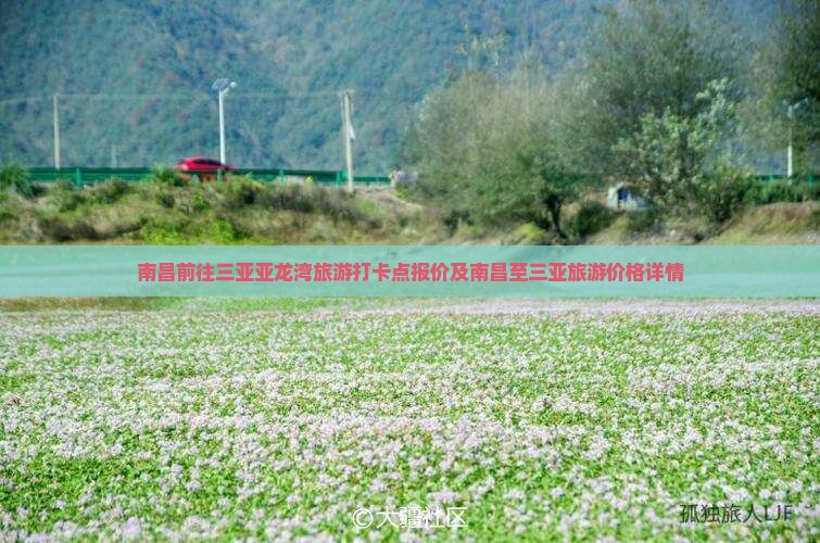 南昌前往三亚亚龙湾旅游打卡点报价及南昌至三亚旅游价格详情