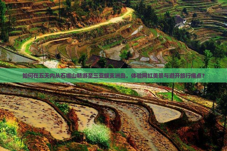 如何在五天内从石嘴山畅游至三亚蜈支洲岛，体验网红美景与避开旅行痛点？