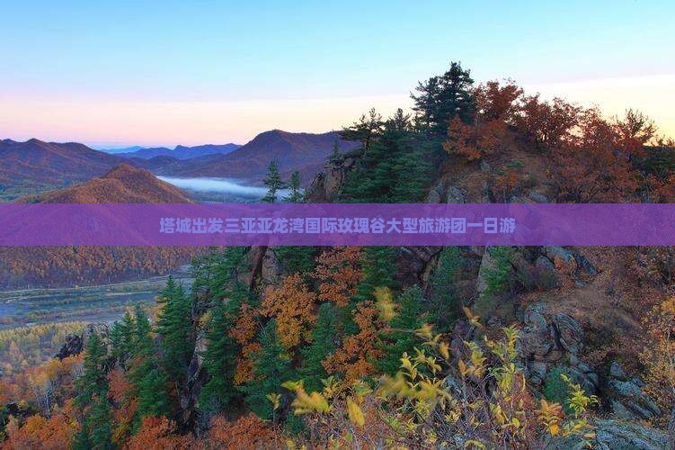 塔城出发三亚亚龙湾国际玫瑰谷大型旅游团一日游