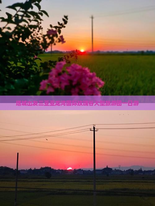 塔城出发三亚亚龙湾国际玫瑰谷大型旅游团一日游