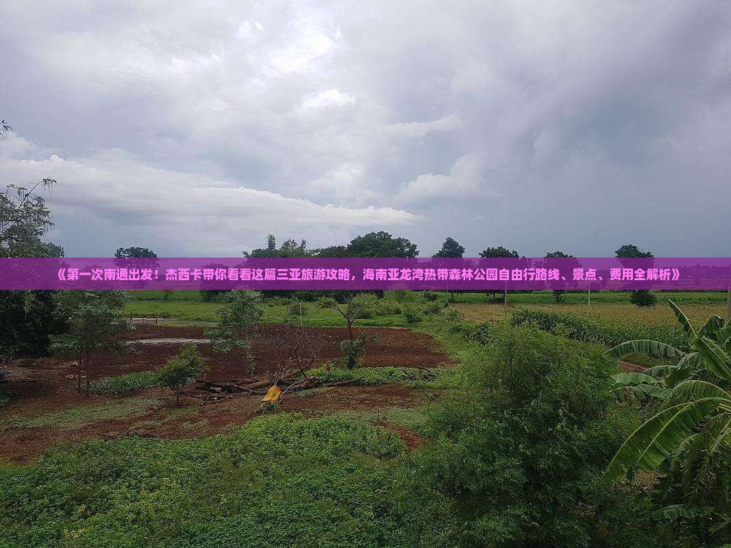 《第一次南通出发！杰西卡带你看看这篇三亚旅游攻略，海南亚龙湾热带森林公园自由行路线、景点、费用全解析》
