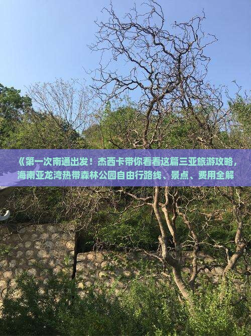 《第一次南通出发！杰西卡带你看看这篇三亚旅游攻略，海南亚龙湾热带森林公园自由行路线、景点、费用全解析》