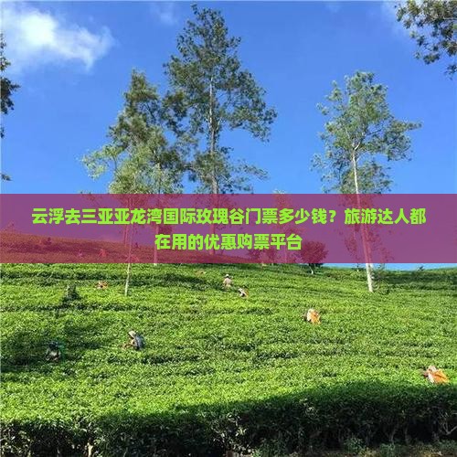 云浮去三亚亚龙湾国际玫瑰谷门票多少钱？旅游达人都在用的优惠购票平台