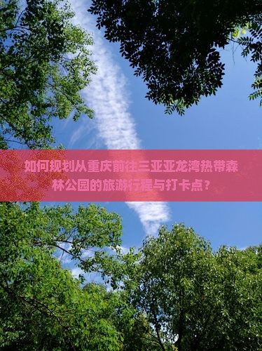 如何规划从重庆前往三亚亚龙湾热带森林公园的旅游行程与打卡点？