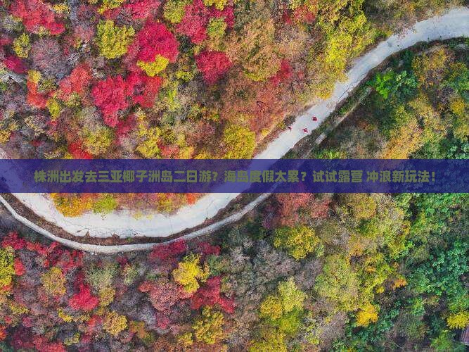株洲出发去三亚椰子洲岛二日游？海岛度假太累？试试露营+冲浪新玩法！