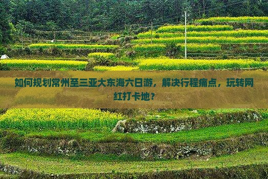 如何规划常州至三亚大东海六日游，解决行程痛点，玩转网红打卡地？