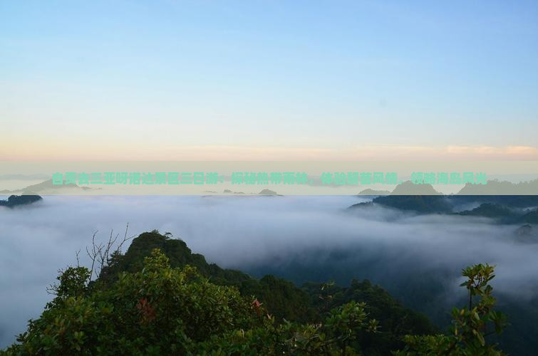 自贡去三亚呀诺达景区三日游：探秘热带雨林，体验黎苗风情，领略海岛风光