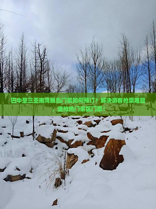 巴中至三亚南湾猴岛门票如何预订？解决游客抢票难题，速抢热门景区门票！
