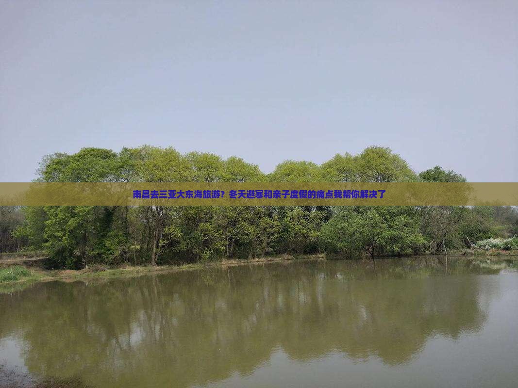 南昌去三亚大东海旅游？冬天避寒和亲子度假的痛点我帮你解决了