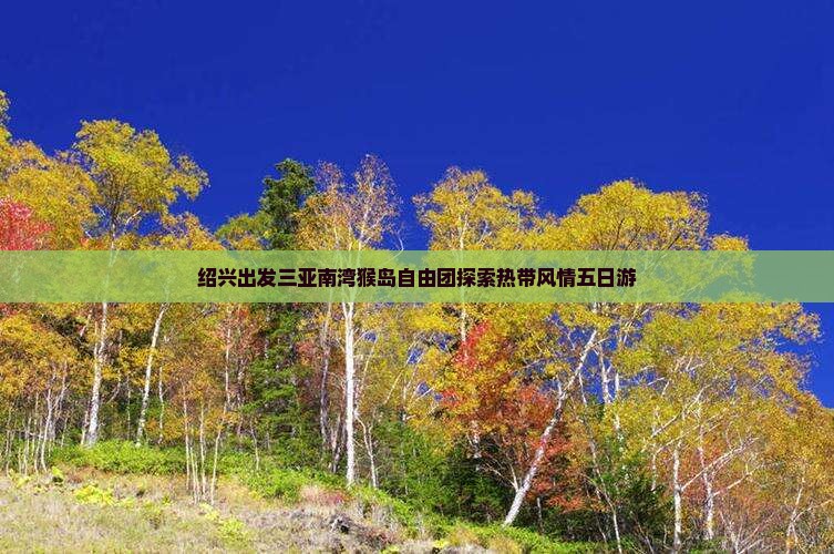 绍兴出发三亚南湾猴岛自由团探索热带风情五日游 绍兴出发三亚南湾猴岛自由团探索热带风情五日游