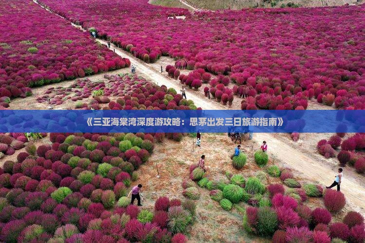 《三亚海棠湾深度游攻略：思茅出发三日旅游指南》