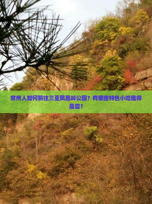 常州人如何前往三亚凤凰岭公园？有哪些特色小吃值得品尝？