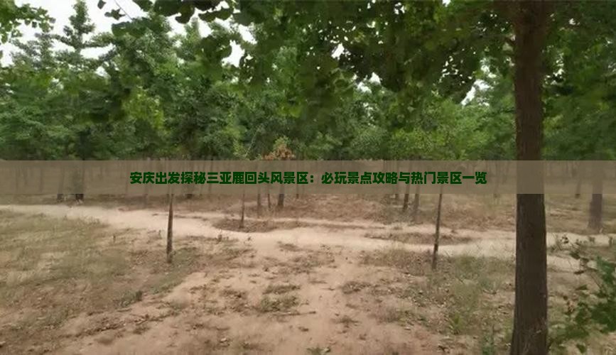 安庆出发探秘三亚鹿回头风景区：必玩景点攻略与热门景区一览