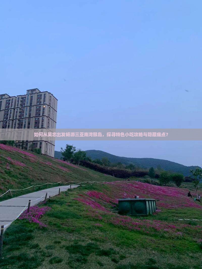如何从吴忠出发畅游三亚南湾猴岛，探寻特色小吃攻略与隐藏痛点？