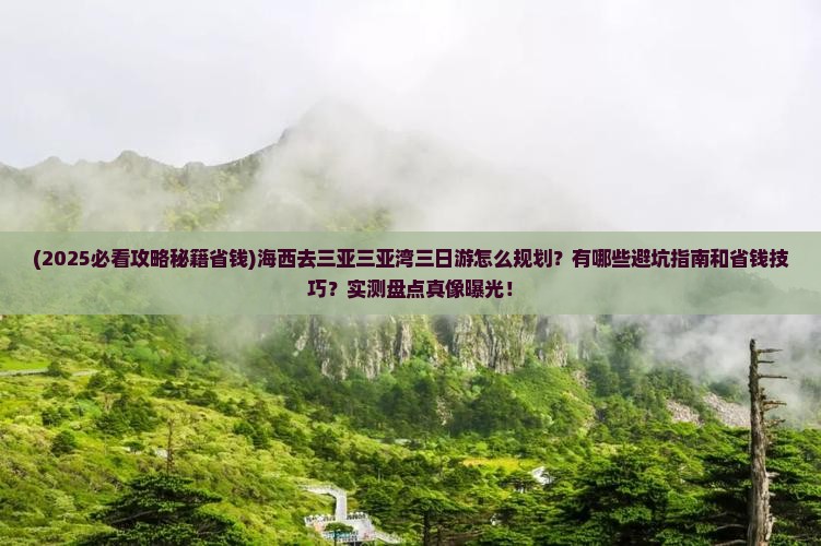 海西去三亚三亚湾三日游