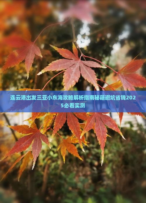 连云港出发三亚小东海攻略