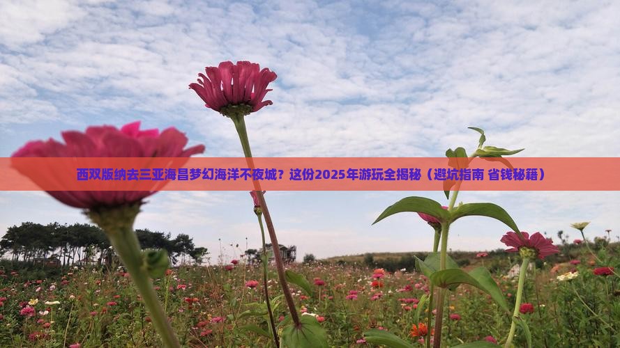 西双版纳前往三亚海昌梦幻海洋不夜城哪里玩