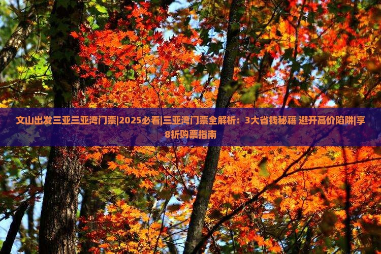 文山出发三亚三亚湾门票