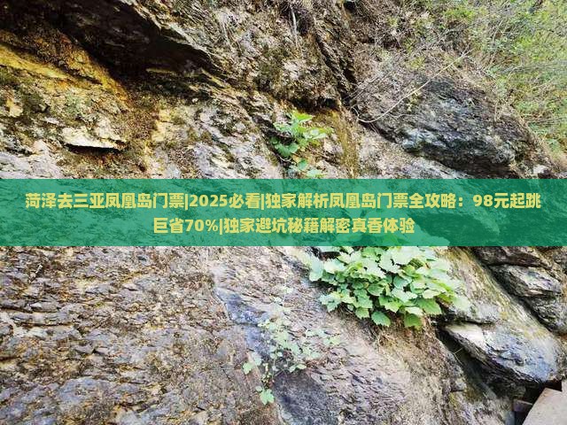 菏泽去三亚凤凰岛门票