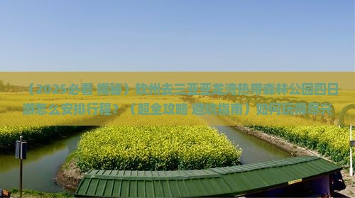 钦州去三亚亚龙湾热带森林公园四日游