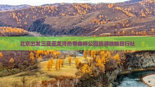 朝阳出发三亚亚龙湾热带森林公园旅行社