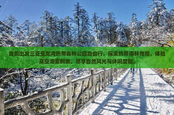 自贡出发三亚亚龙湾热带森林公园自由行