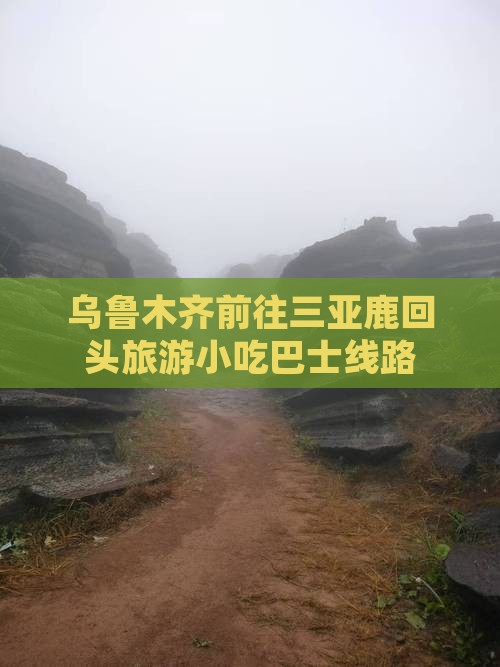 乌鲁木齐前往三亚鹿回头旅游小吃