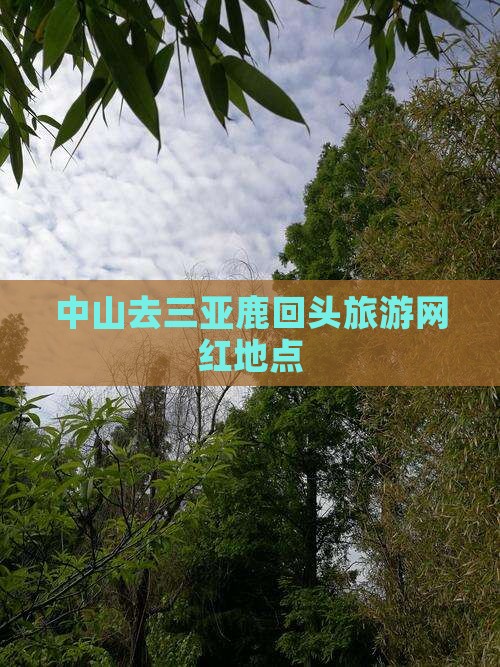 中山去三亚鹿回头旅游网红地点