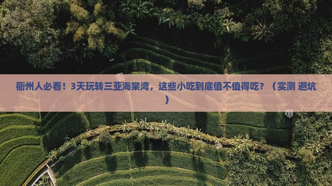 衢州去三亚海棠湾旅游小吃