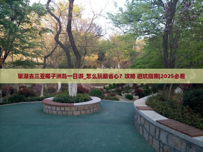 巢湖去三亚椰子洲岛一日游